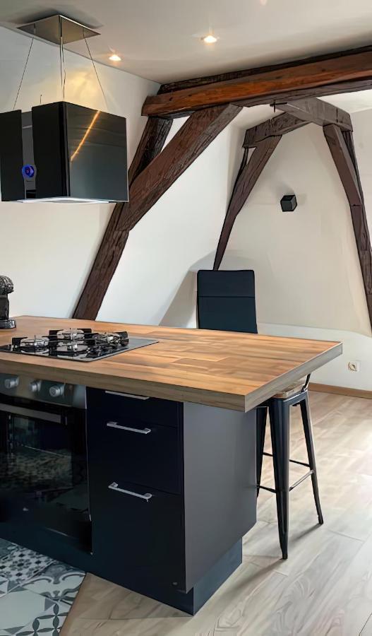 Apartament Vue Sur La Cathedrale - Au Coeur De Bourges Zewnętrze zdjęcie